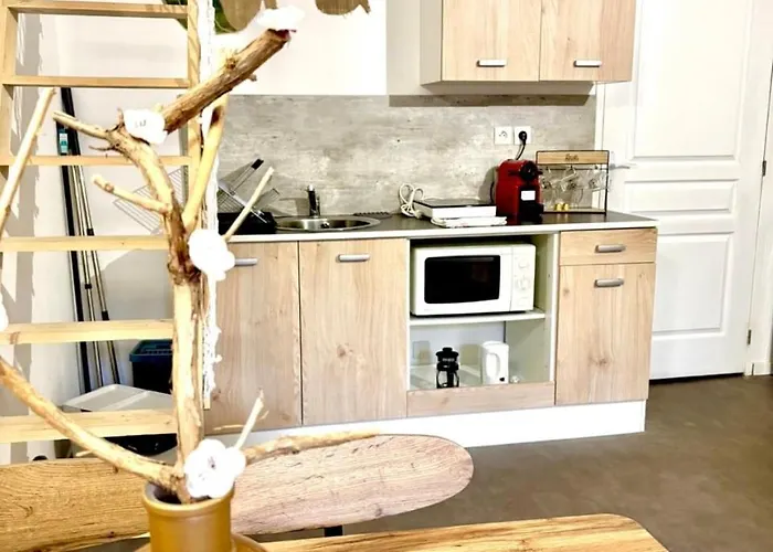 Apartmán Le Bois Marin 2 - Centre